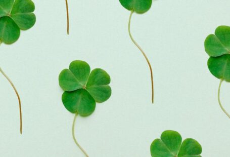 Irish Memorabilia - Green and White Leaves Illustration